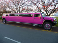 Pink Hummer Limousine Hire Perth By Showtimelimos23